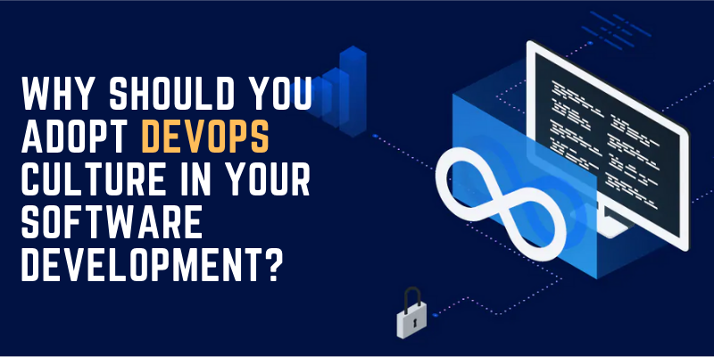 Why Should You Adopt DevOps Culture in Your Software Development