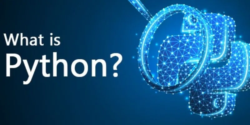 How Python Supports Automation and Data Processing?